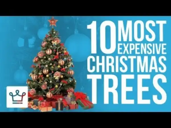 Video: Top 10 Most Expensive Christmas Trees In The World